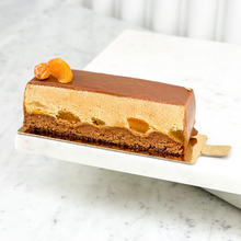 Load image into Gallery viewer, Salted peanut and apricot slice
